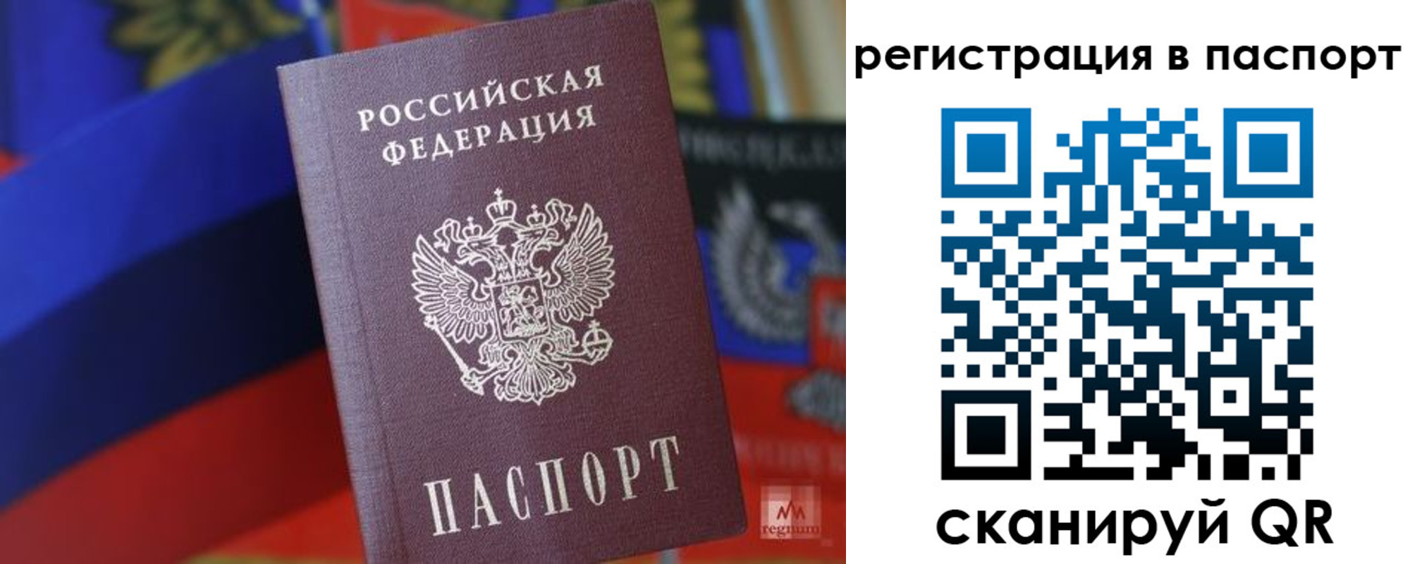 прописка паспорт в Черняховске